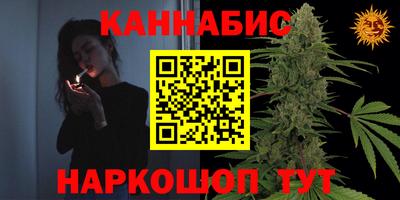 стафф Будённовск